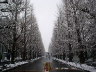 雪景色